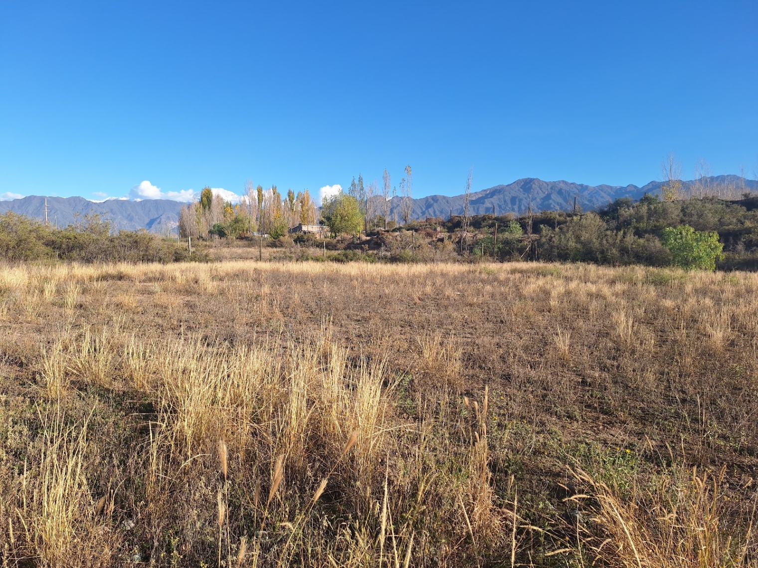 Terreno en Venta en Lujan de Cuyo, Mendoza