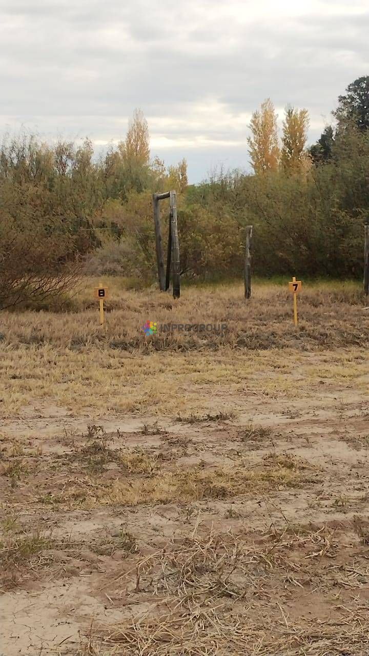 Terreno en Venta en Lavalle, Mendoza