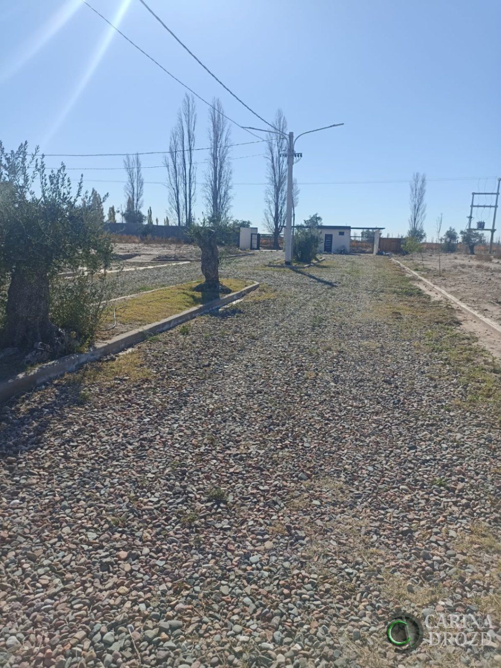 Terreno en Venta en Lujan de Cuyo, Mendoza