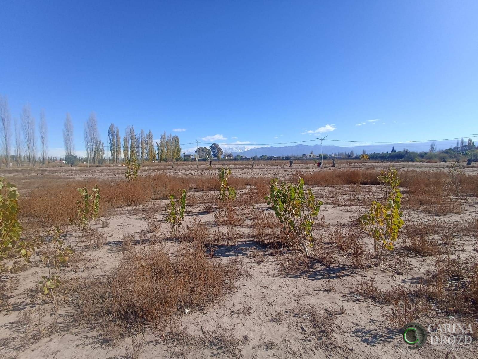 Terreno en Venta en Lujan de Cuyo, Mendoza
