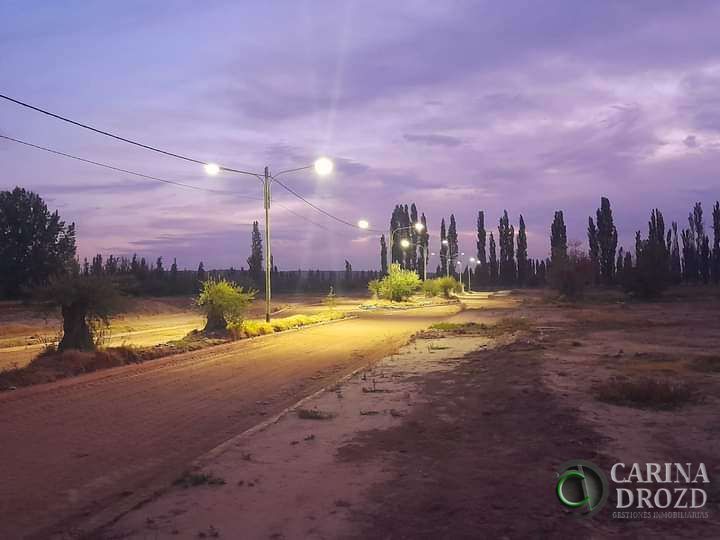 Terreno en Venta en Lujan de Cuyo, Mendoza