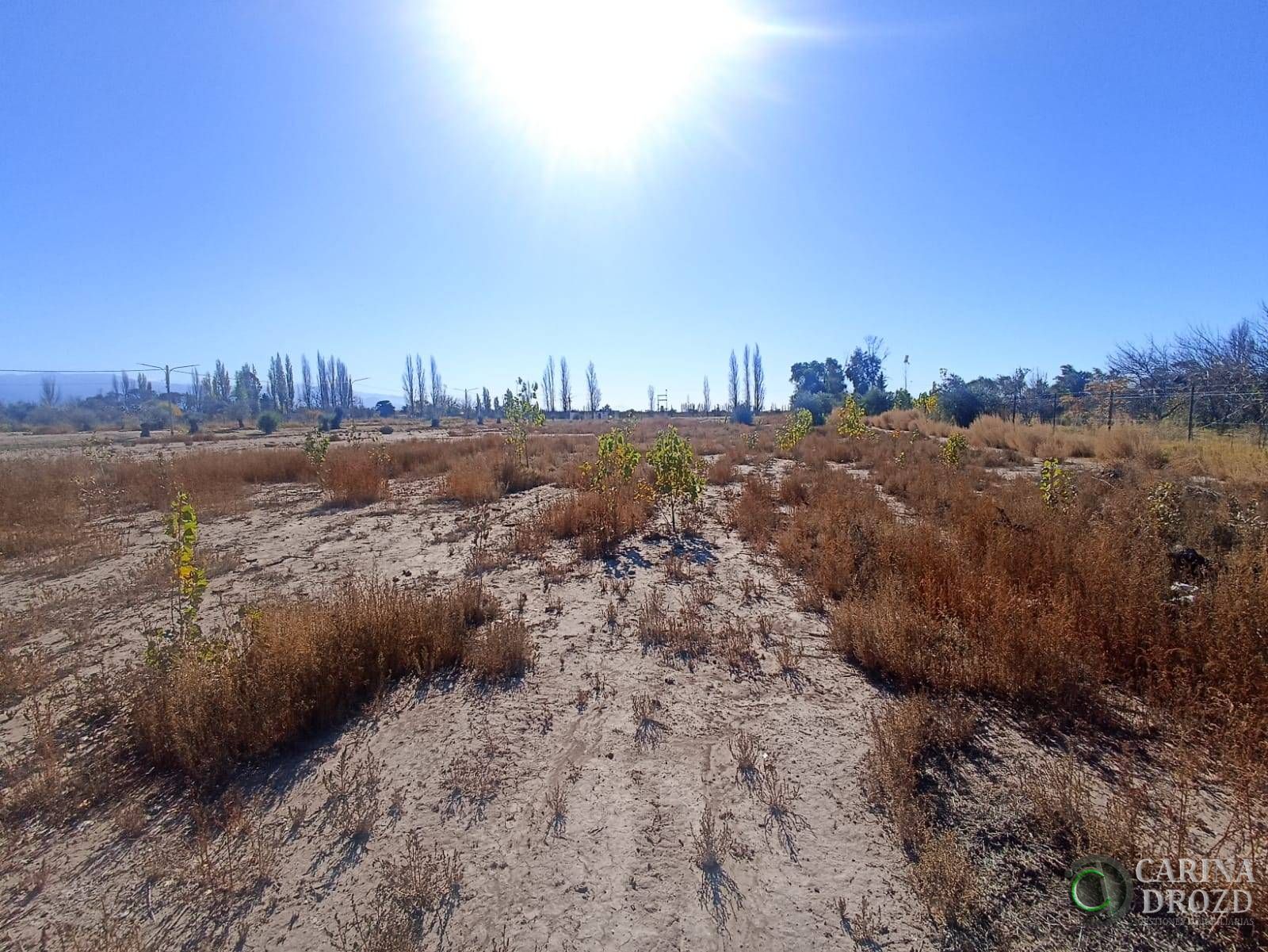 Terreno en Venta en Lujan de Cuyo, Mendoza