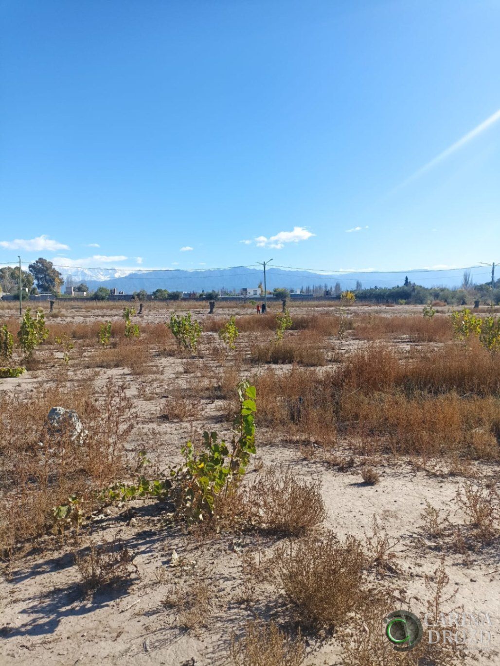 Terreno en Venta en Lujan de Cuyo, Mendoza