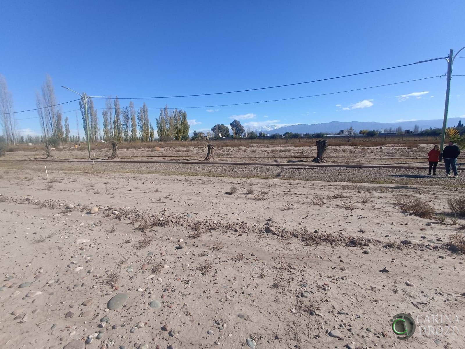 Terreno en Venta en Lujan de Cuyo, Mendoza