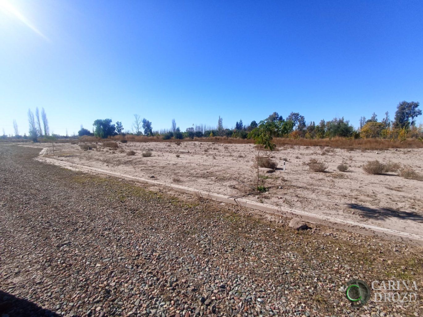 Terreno en Venta en Lujan de Cuyo, Mendoza