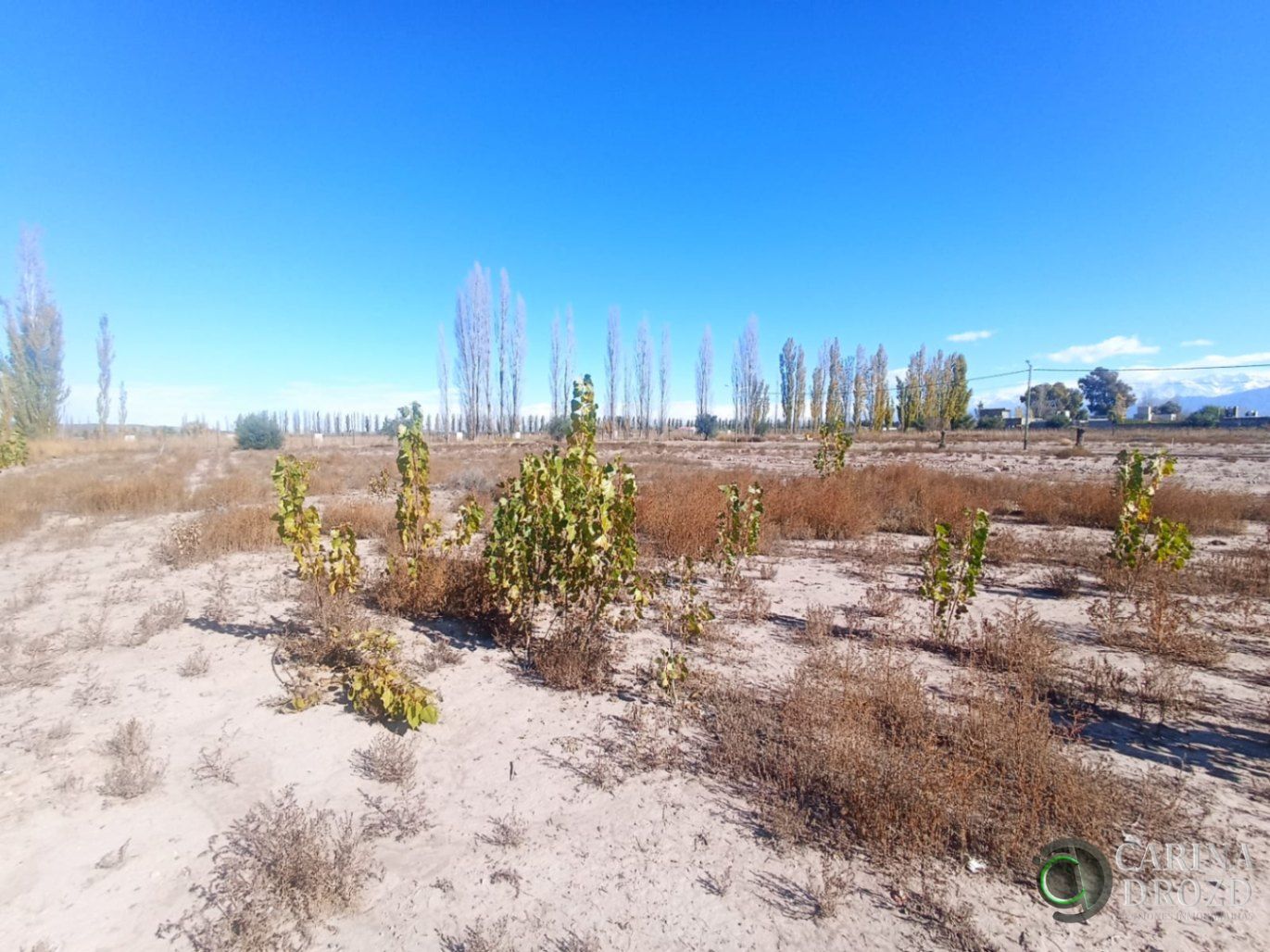 Terreno en Venta en Lujan de Cuyo, Mendoza