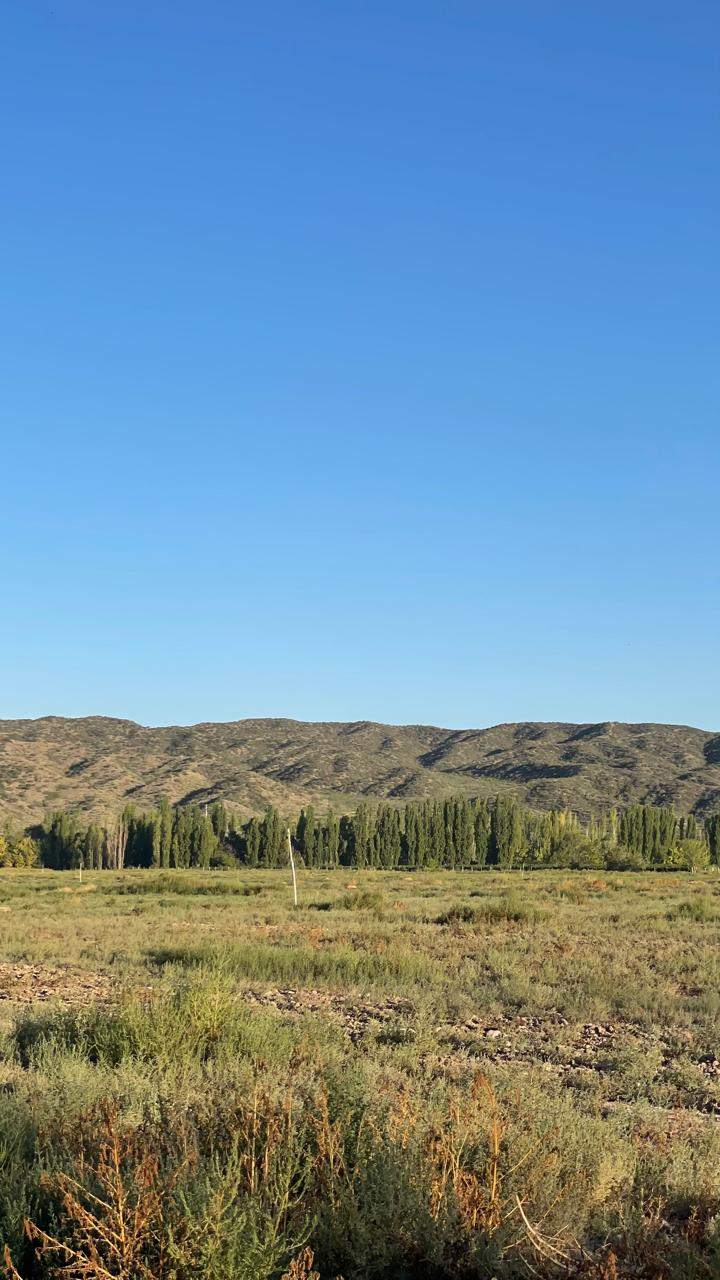 Terreno en Venta en Lujan de Cuyo, Mendoza