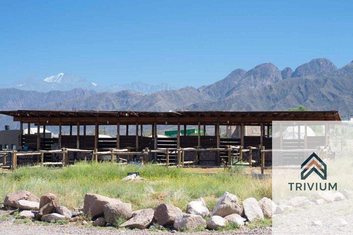 Terreno en Venta en Lujan de Cuyo, Mendoza