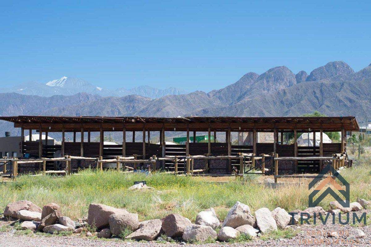 Terreno en Venta en Lujan de Cuyo, Mendoza