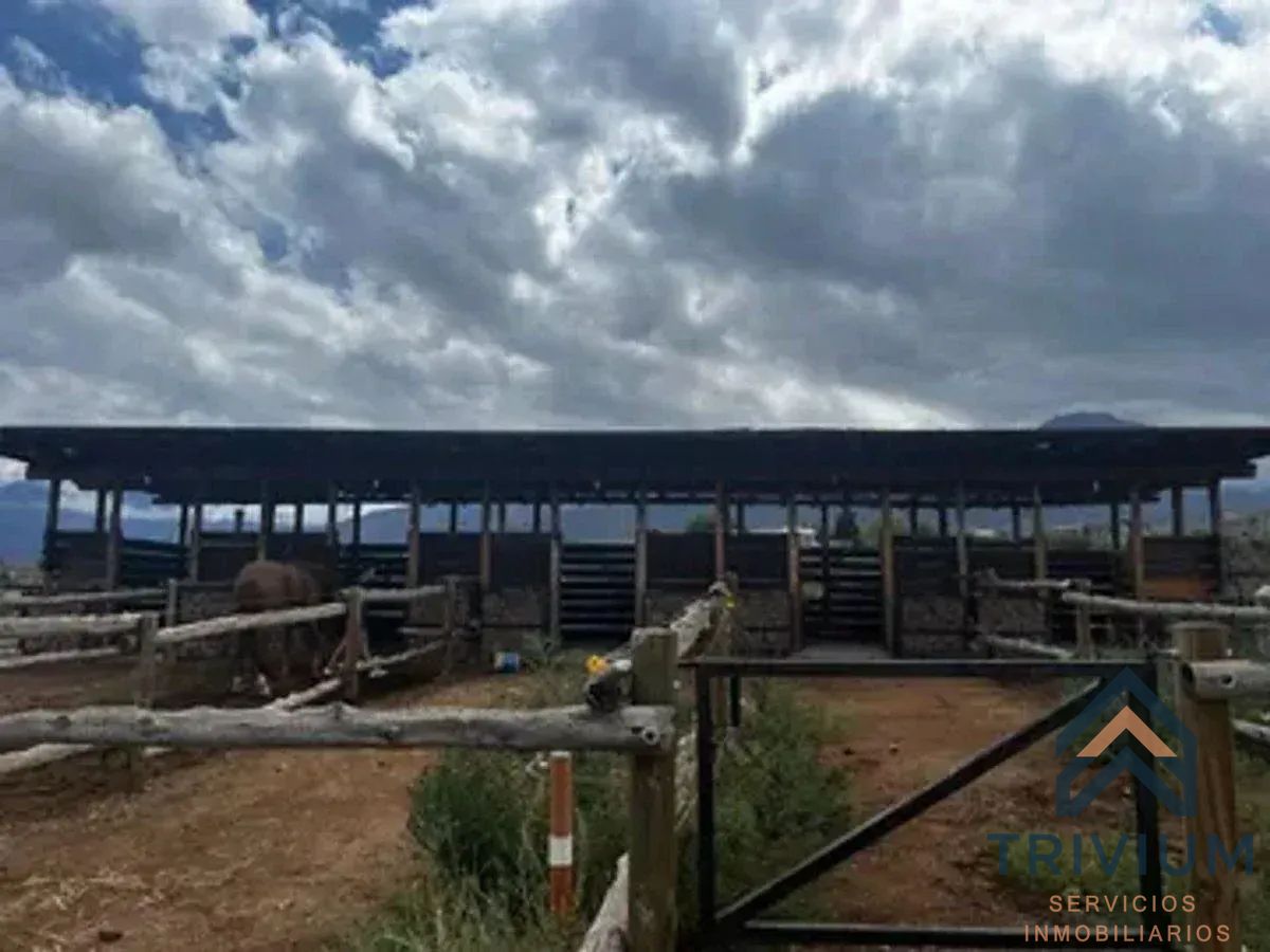 Terreno en Venta en Lujan de Cuyo, Mendoza