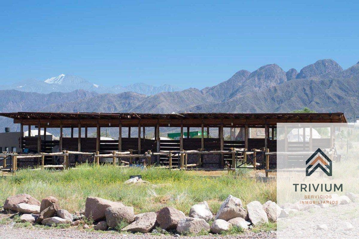 Terreno en Venta en Lujan de Cuyo, Mendoza