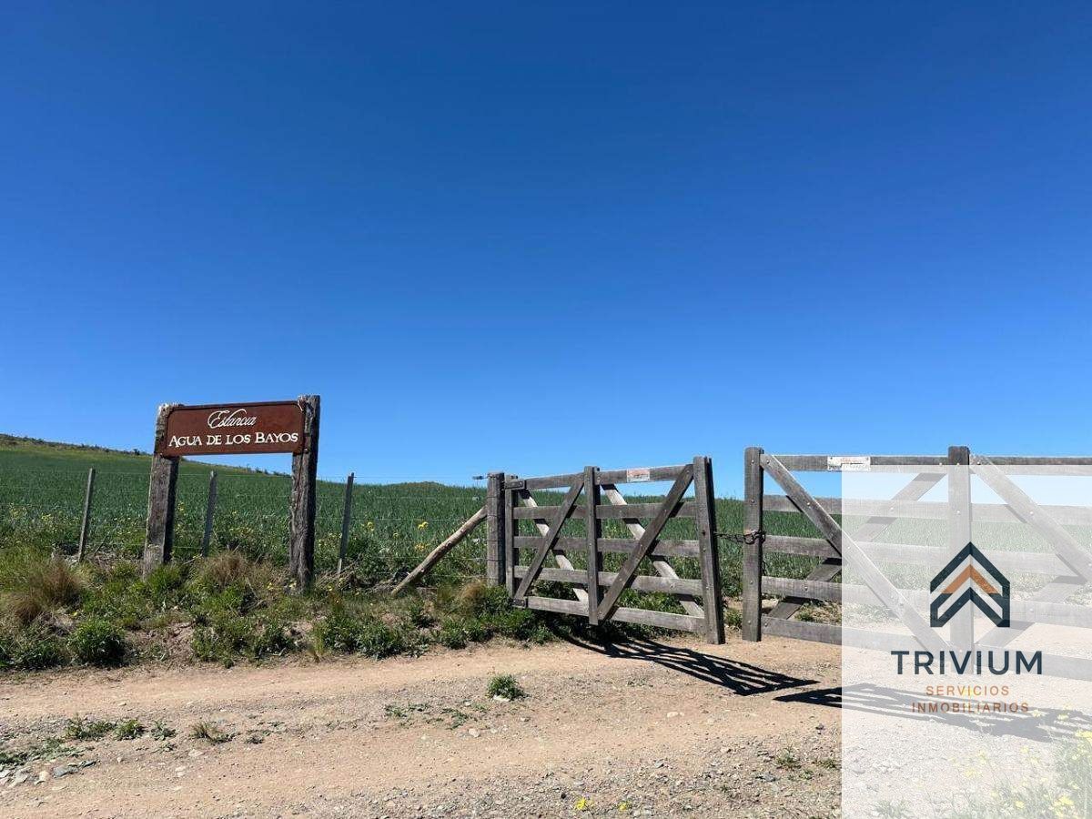 Terreno en Venta en Tupungato, Mendoza