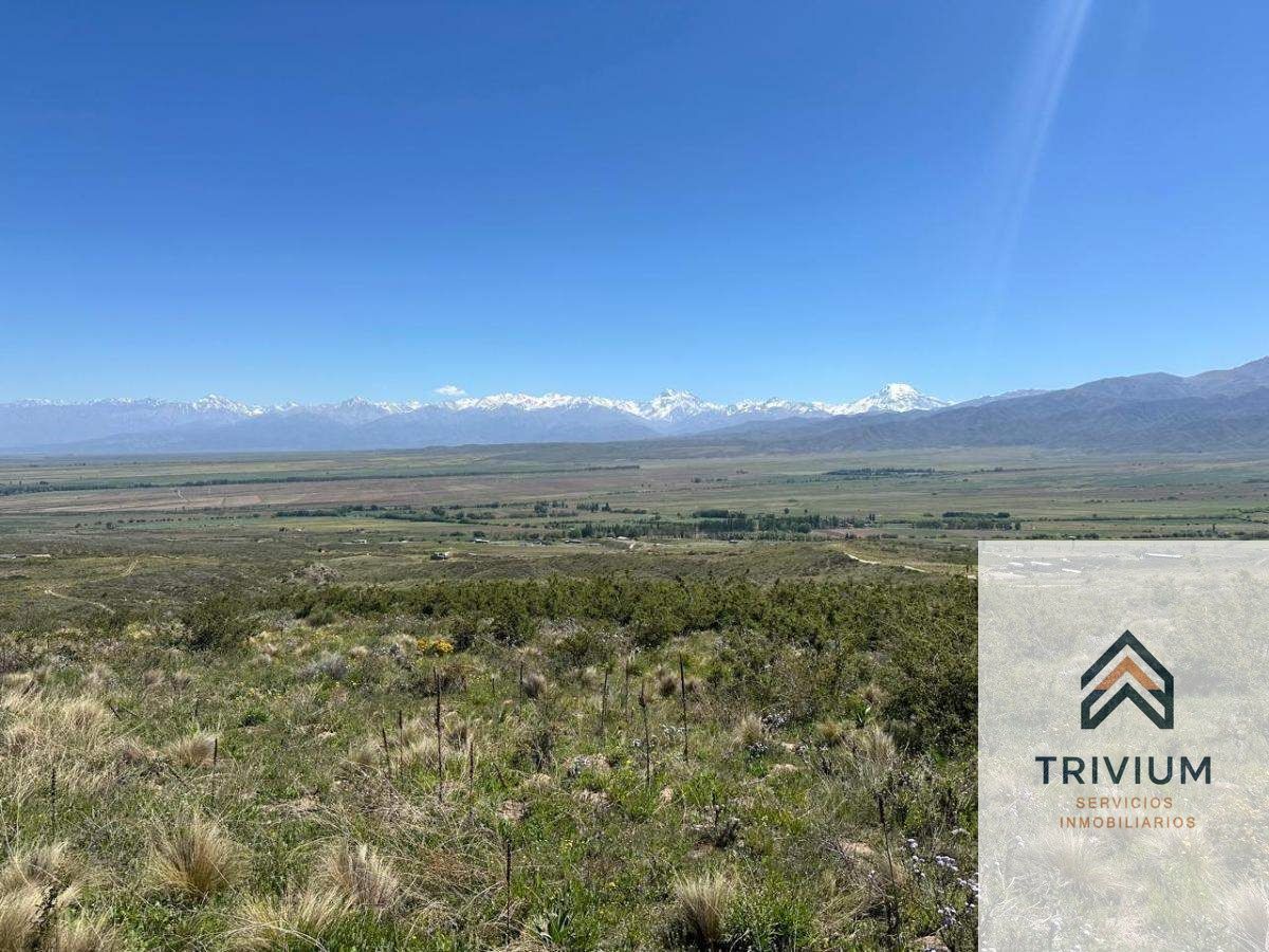 Terreno en Venta en Tupungato, Mendoza