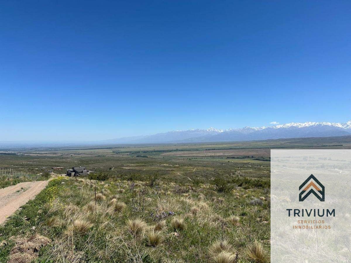 Terreno en Venta en Tupungato, Mendoza