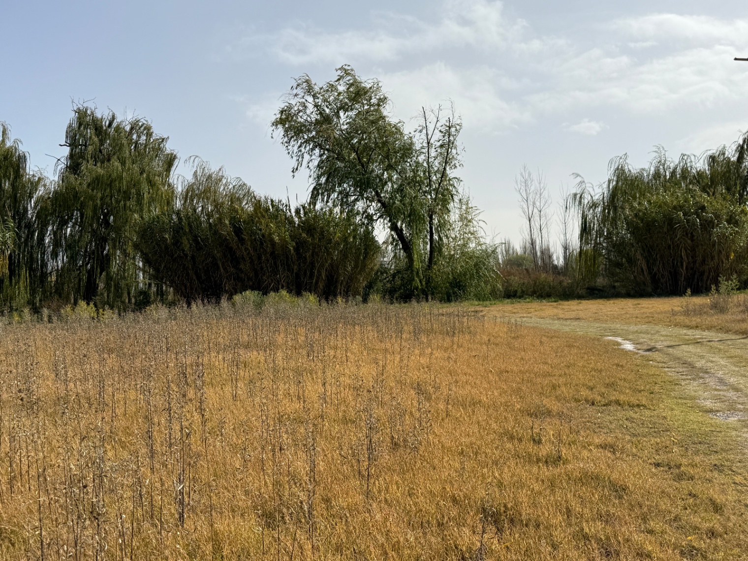Terreno en Venta en Tunuyan, Mendoza
