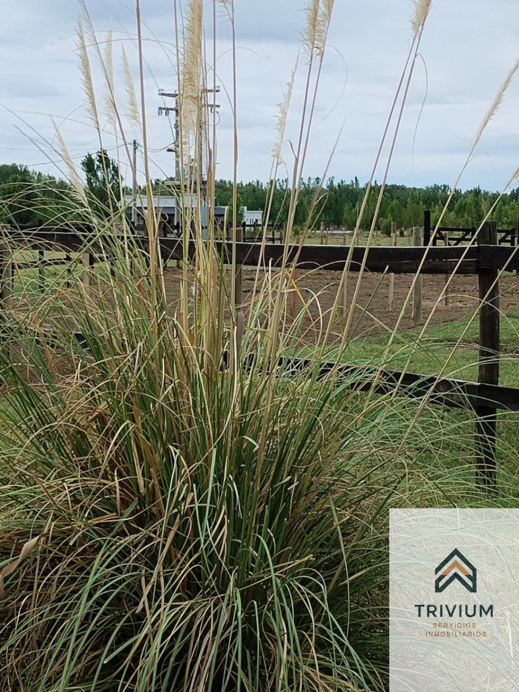 Terreno en Venta en Tunuyan, Mendoza