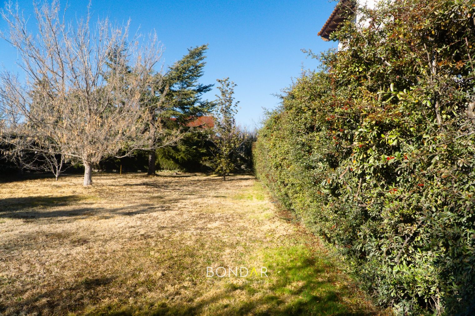 Terreno en Venta en Lujan de Cuyo, Mendoza