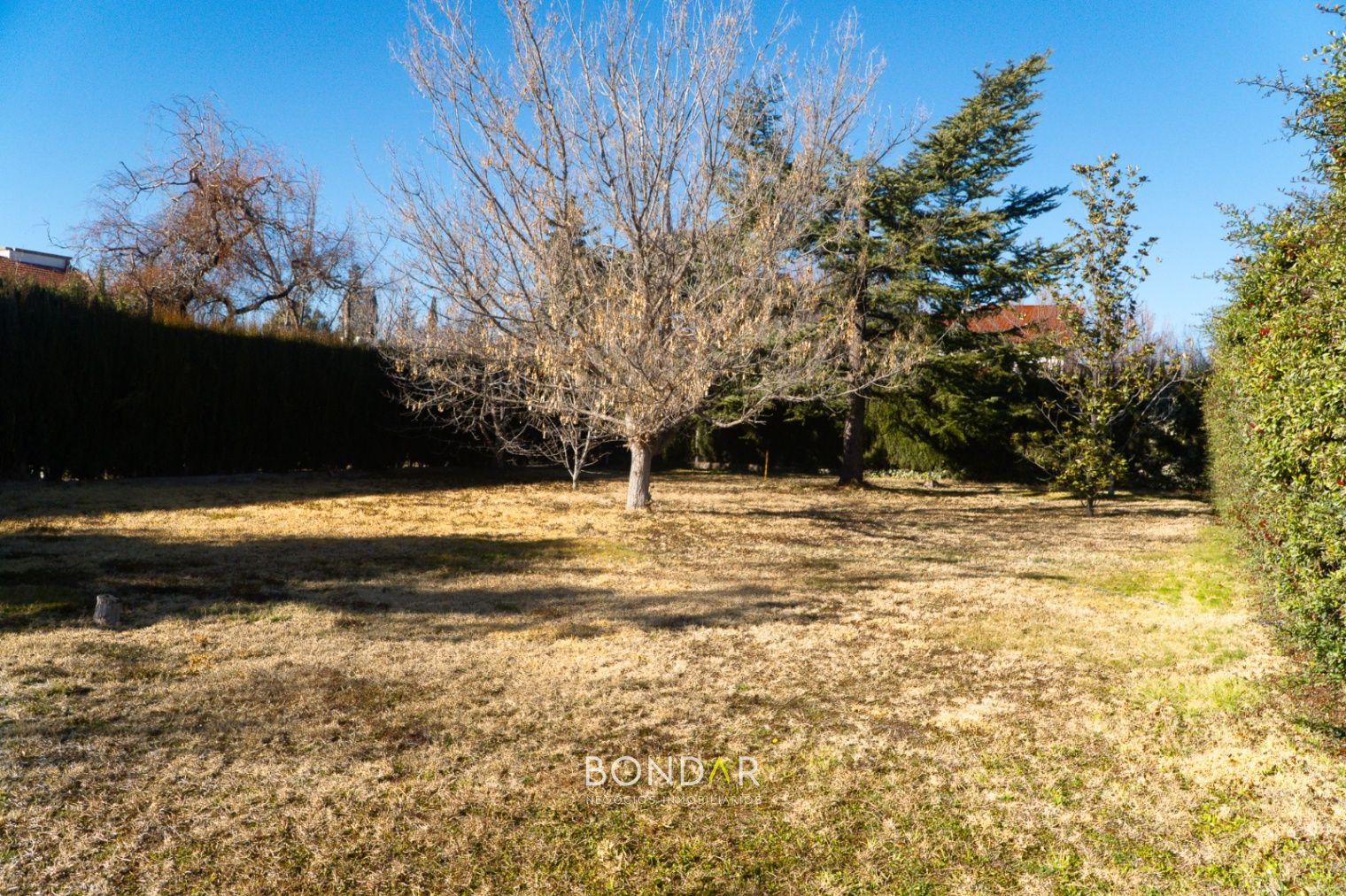 Terreno en Venta en Lujan de Cuyo, Mendoza
