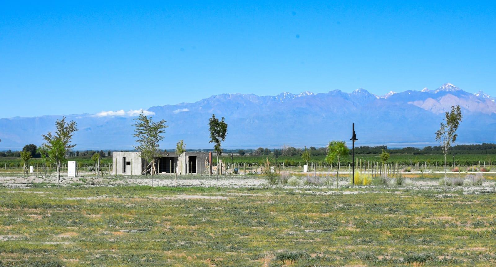 Terreno en Venta en Tupungato, Mendoza