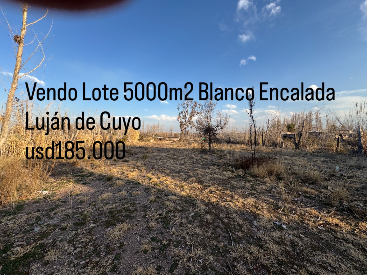 Terreno en Venta en Lujan de Cuyo, Mendoza