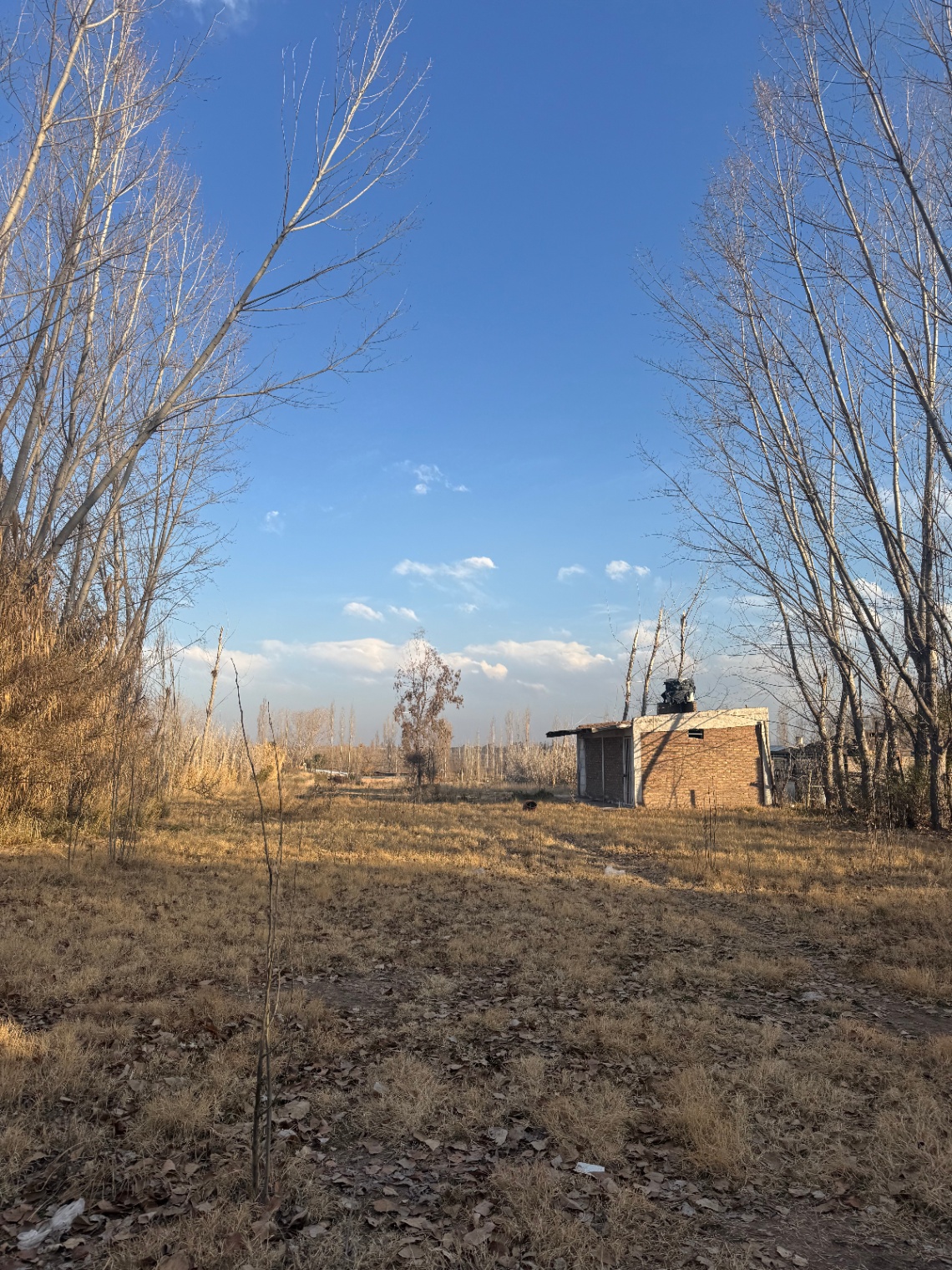 Terreno en Venta en Lujan de Cuyo, Mendoza