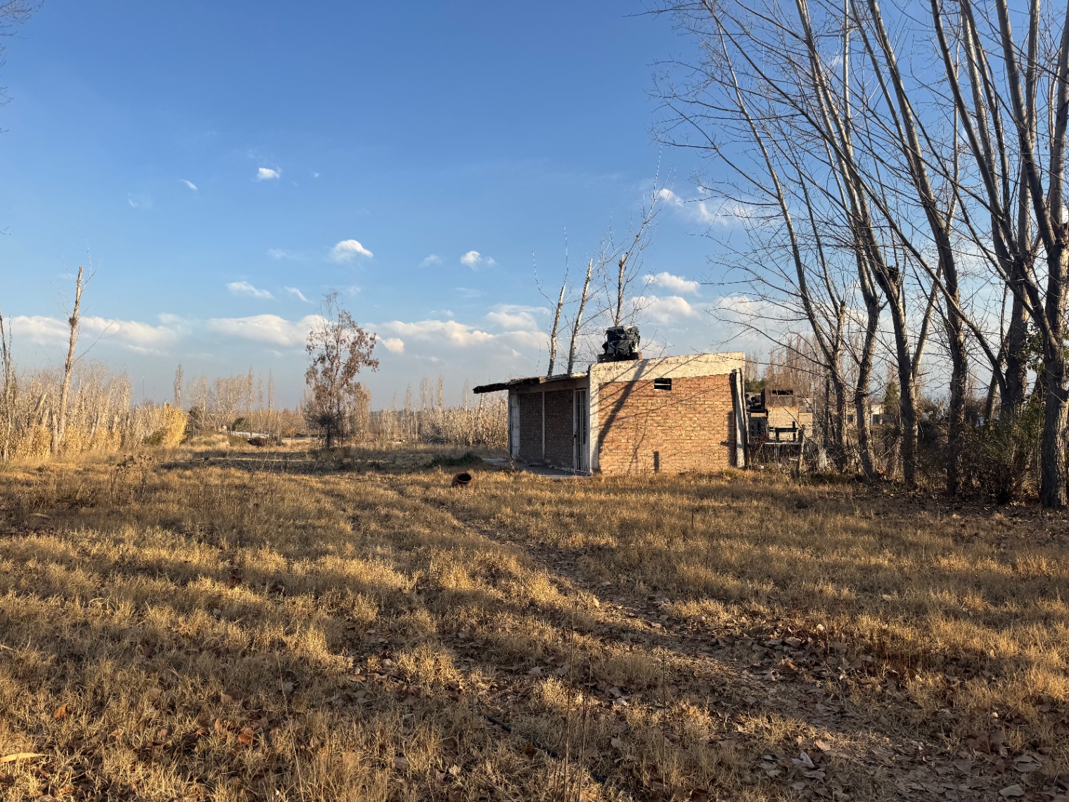 Terreno en Venta en Lujan de Cuyo, Mendoza