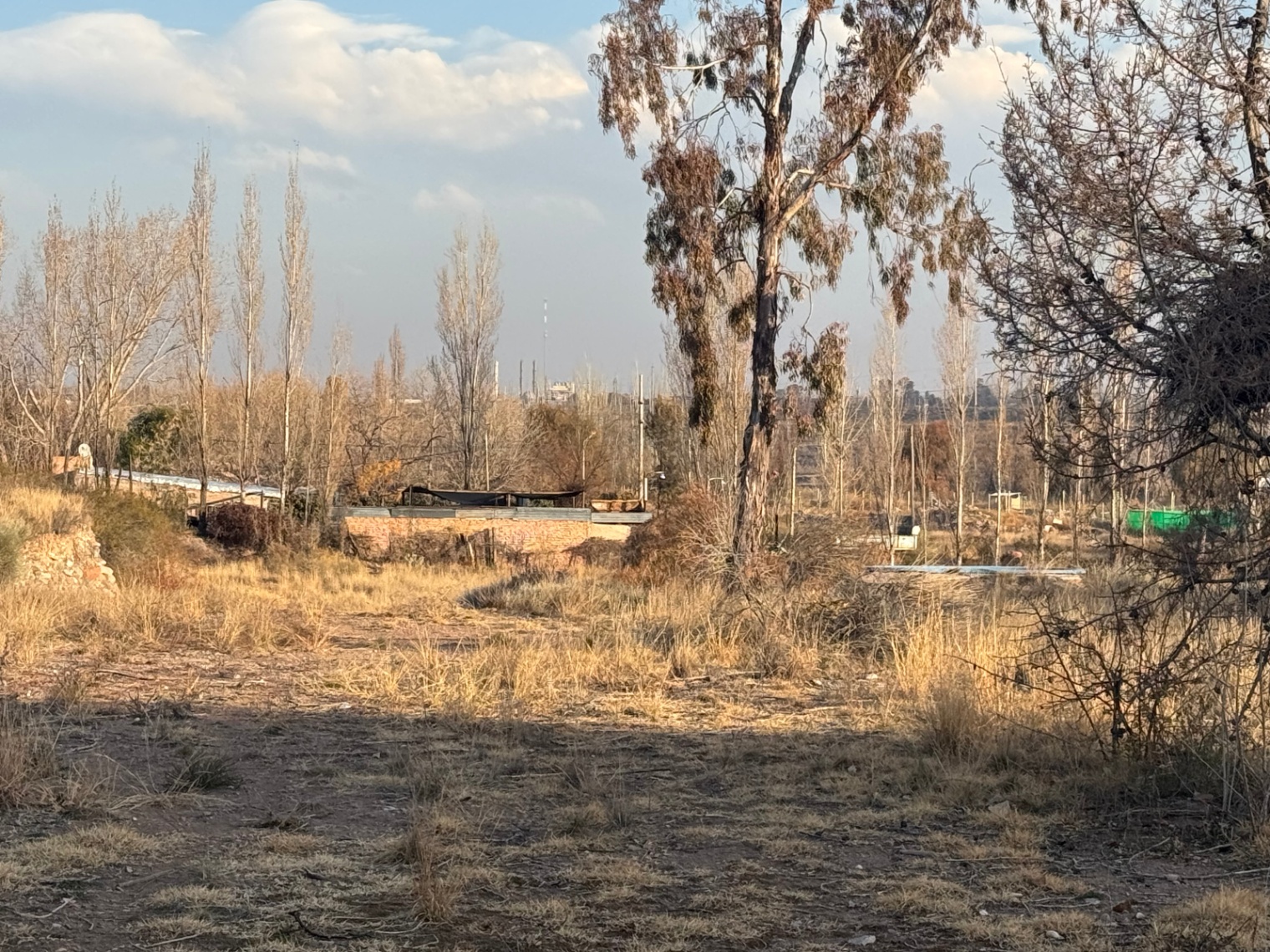 Terreno en Venta en Lujan de Cuyo, Mendoza