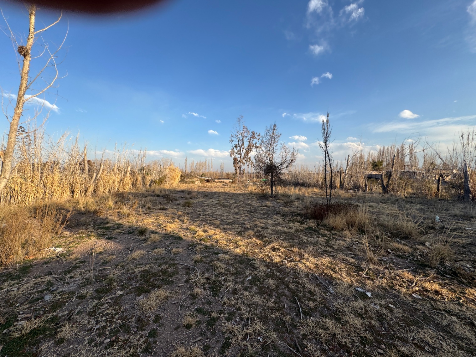 Terreno en Venta en Lujan de Cuyo, Mendoza