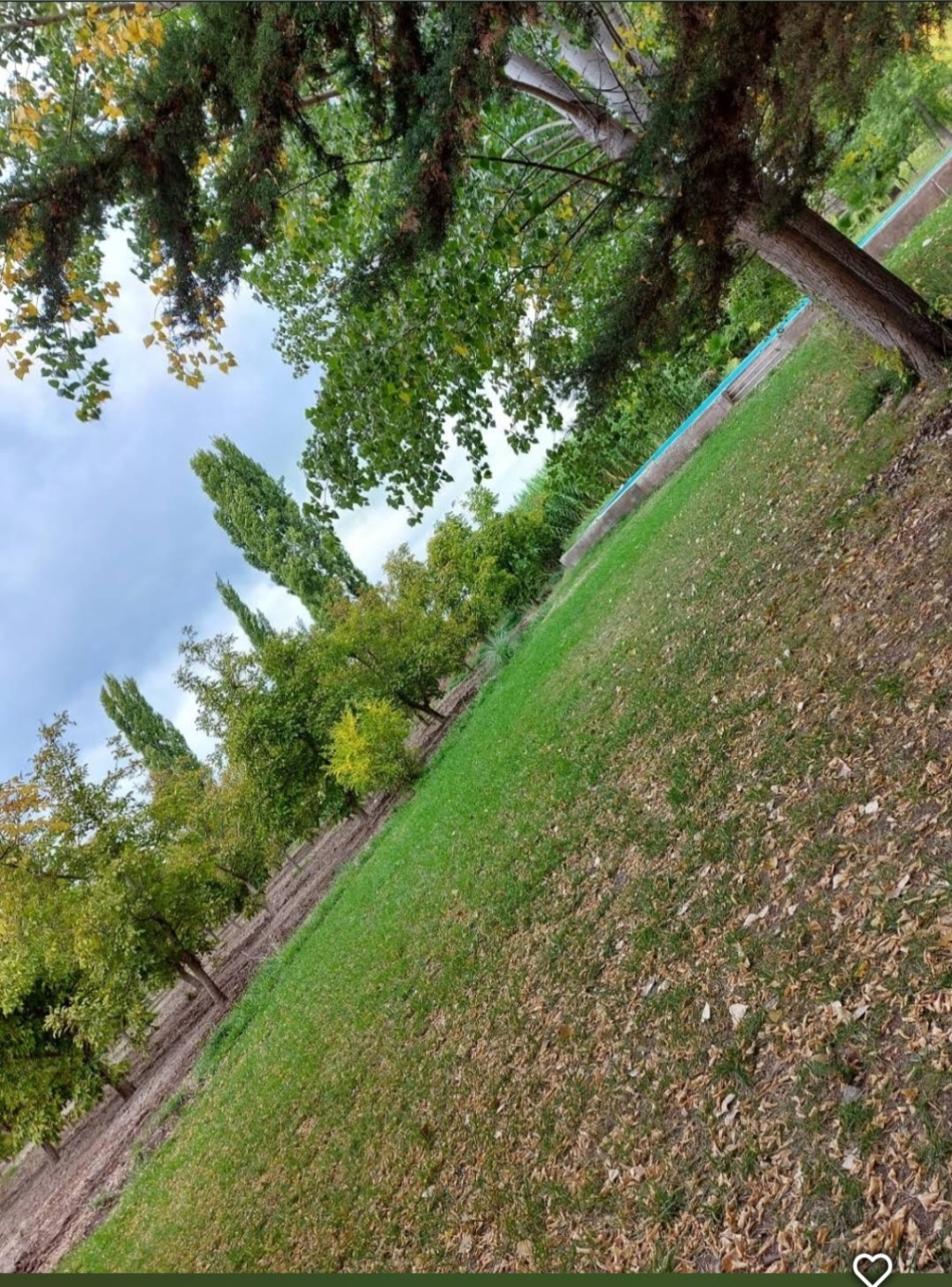 Finca en Venta en Lujan de Cuyo, Mendoza