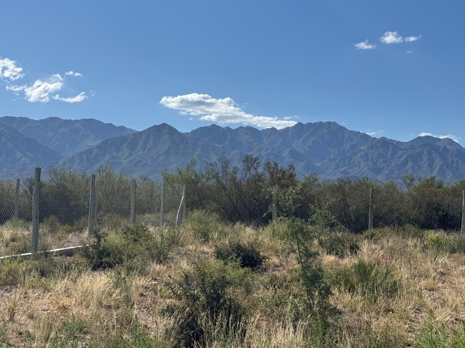 Terreno en Venta en Lujan de Cuyo, Mendoza