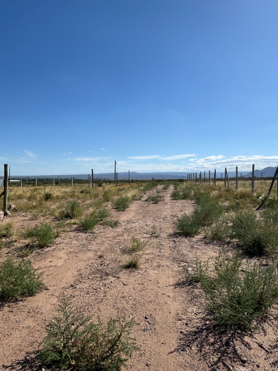 Terreno en Venta en Lujan de Cuyo, Mendoza