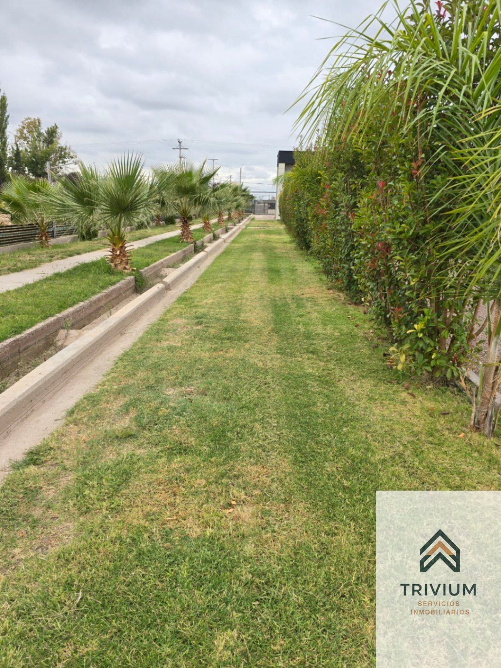 Terreno en Venta en Maipu, Mendoza