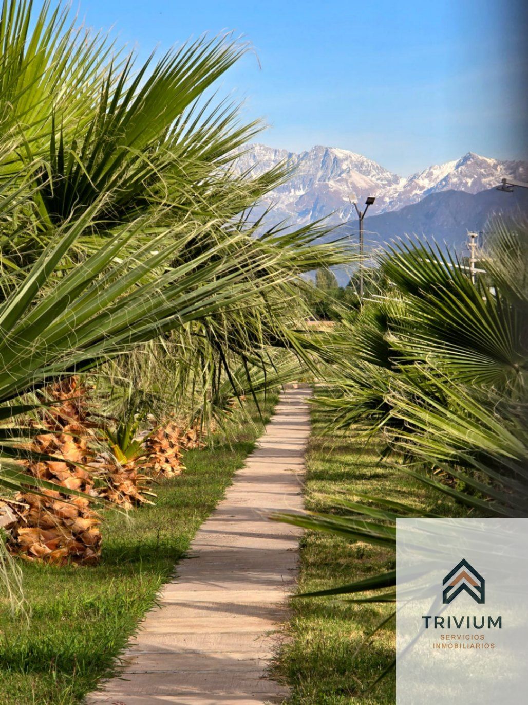 Terreno en Venta en Maipu, Mendoza