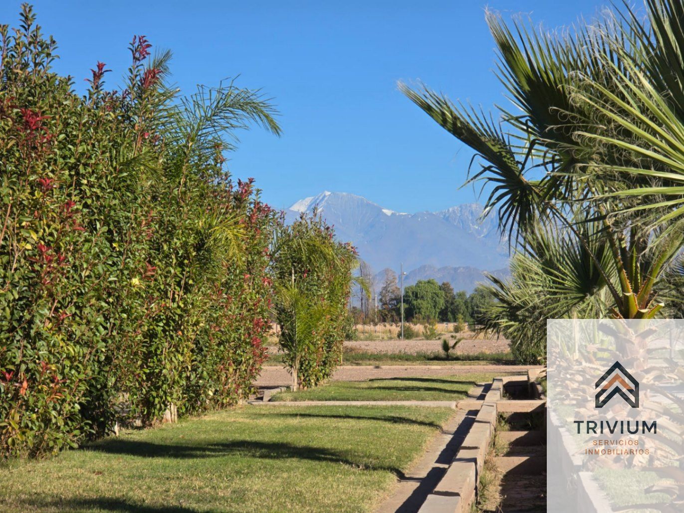 Terreno en Venta en Maipu, Mendoza