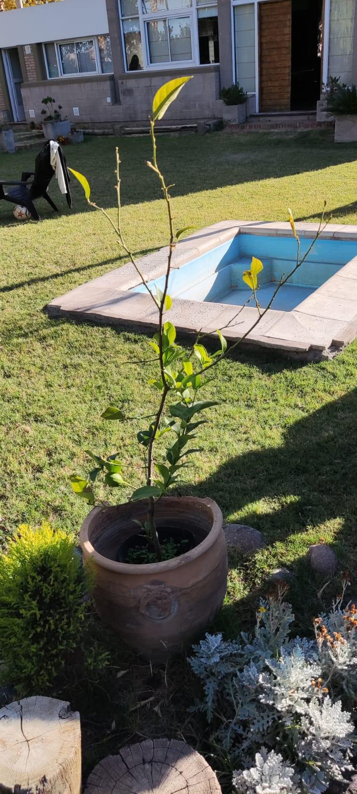 Casa en Venta en Guaymallen, Mendoza