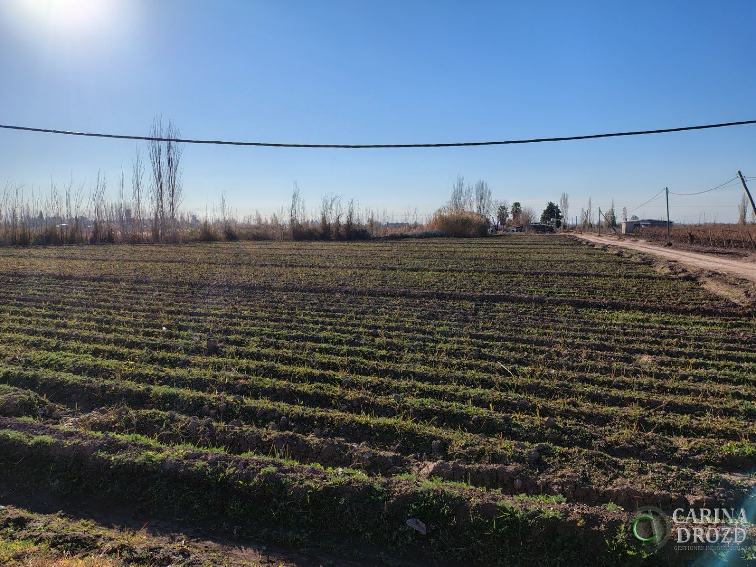 Finca en Venta en Maipu, Mendoza