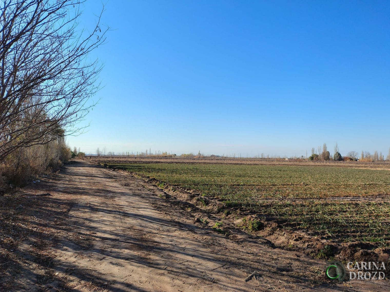 Finca en Venta en Maipu, Mendoza