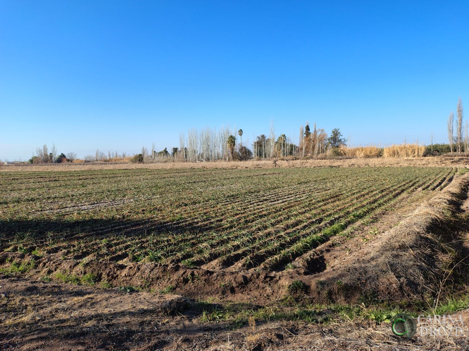 Finca en Venta en Maipu, Mendoza