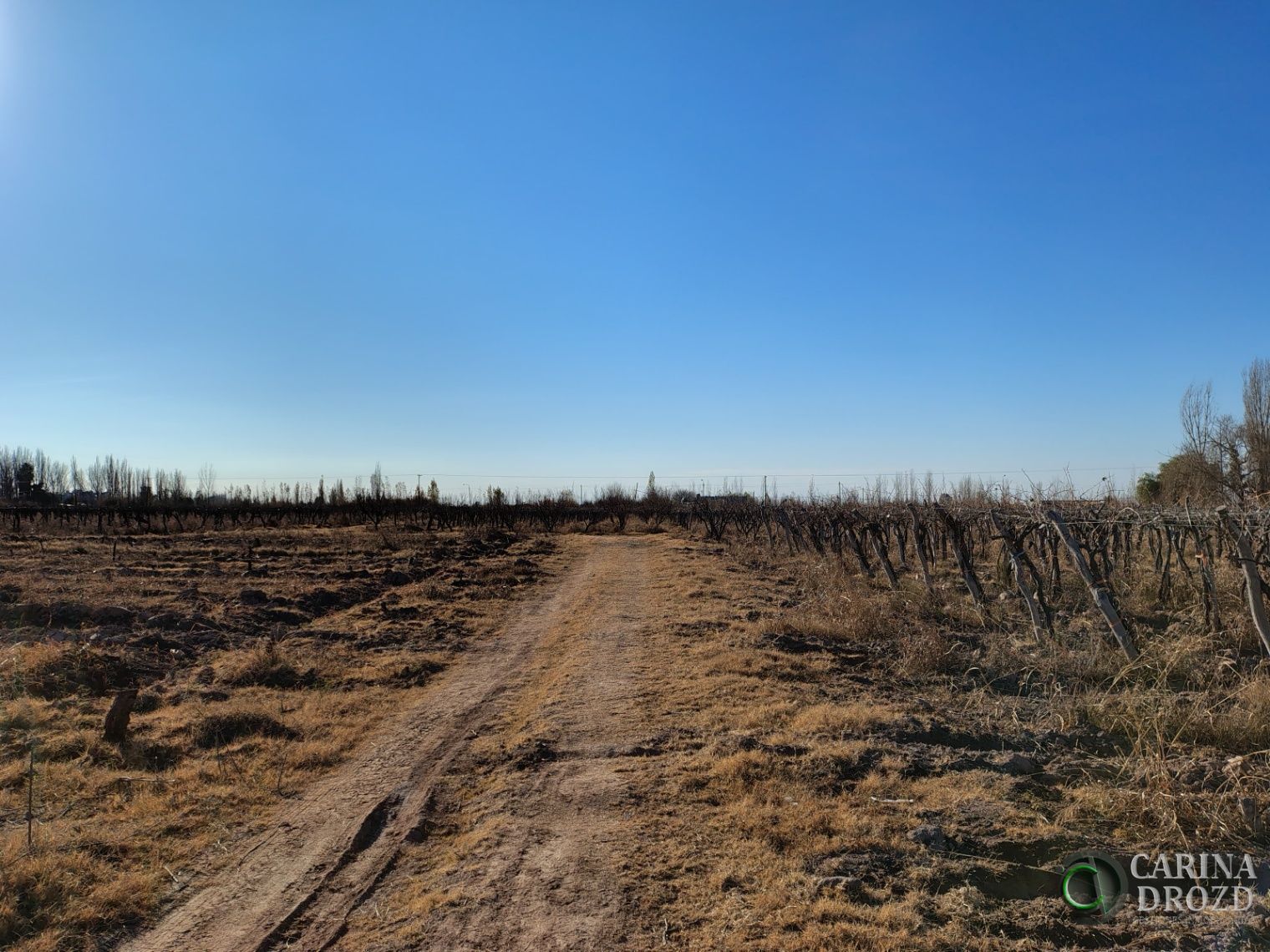 Finca en Venta en Maipu, Mendoza