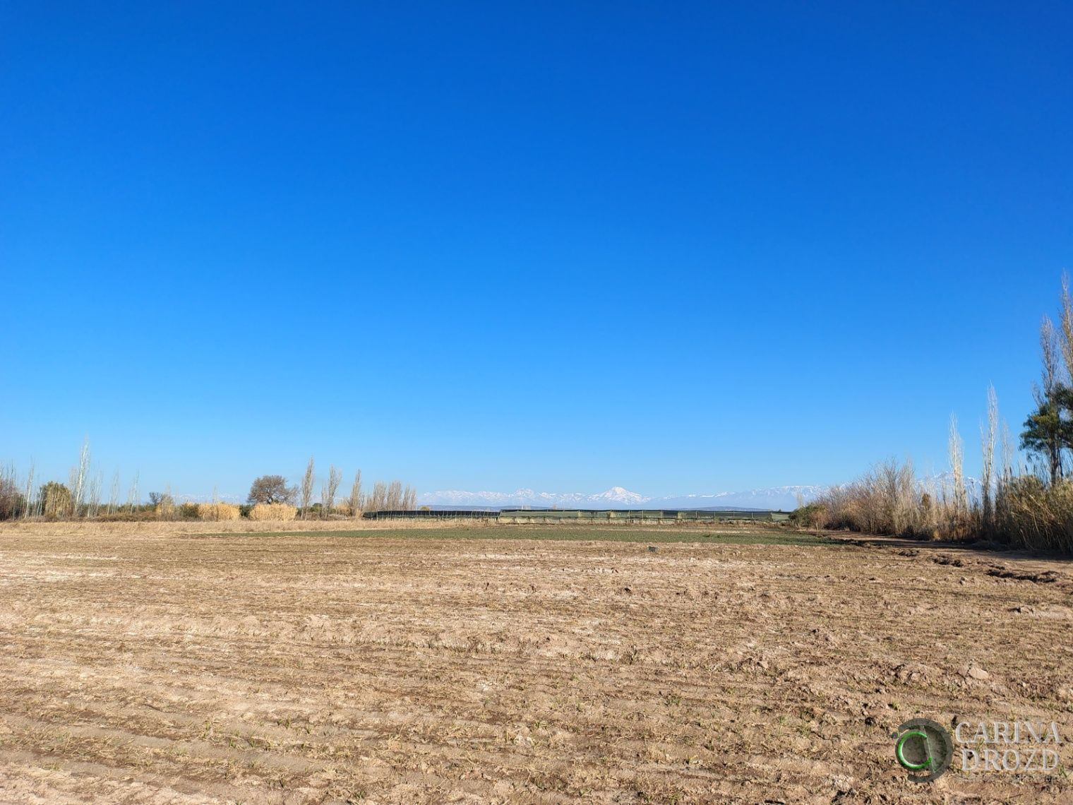 Finca en Venta en Maipu, Mendoza