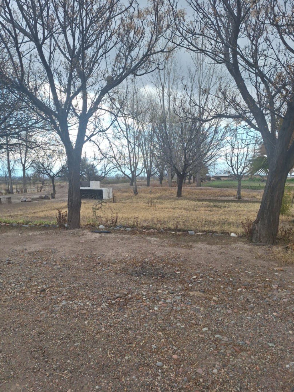 Finca en Venta en San Carlos, Mendoza