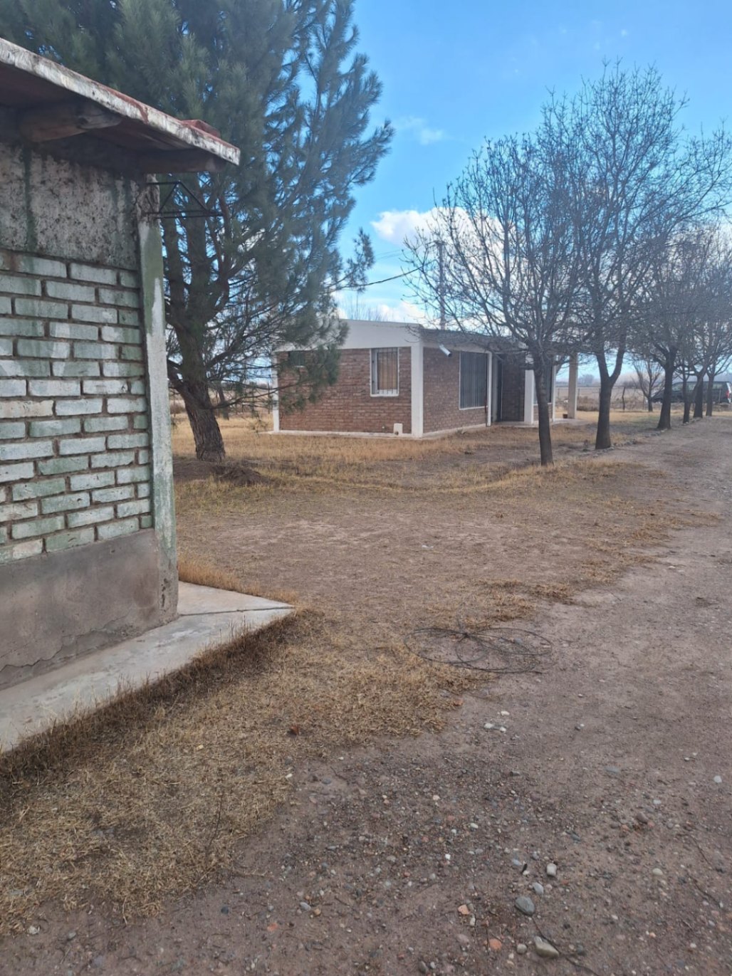 Finca en Venta en San Carlos, Mendoza