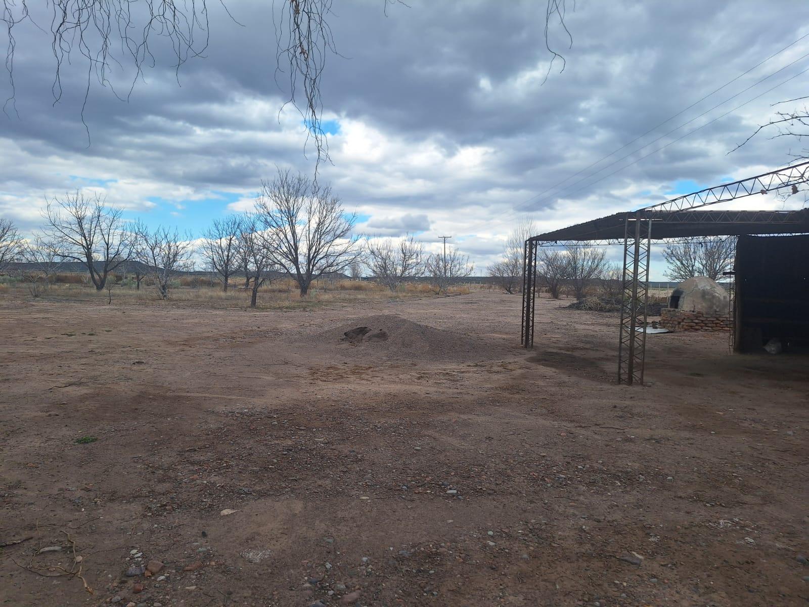 Finca en Venta en San Carlos, Mendoza