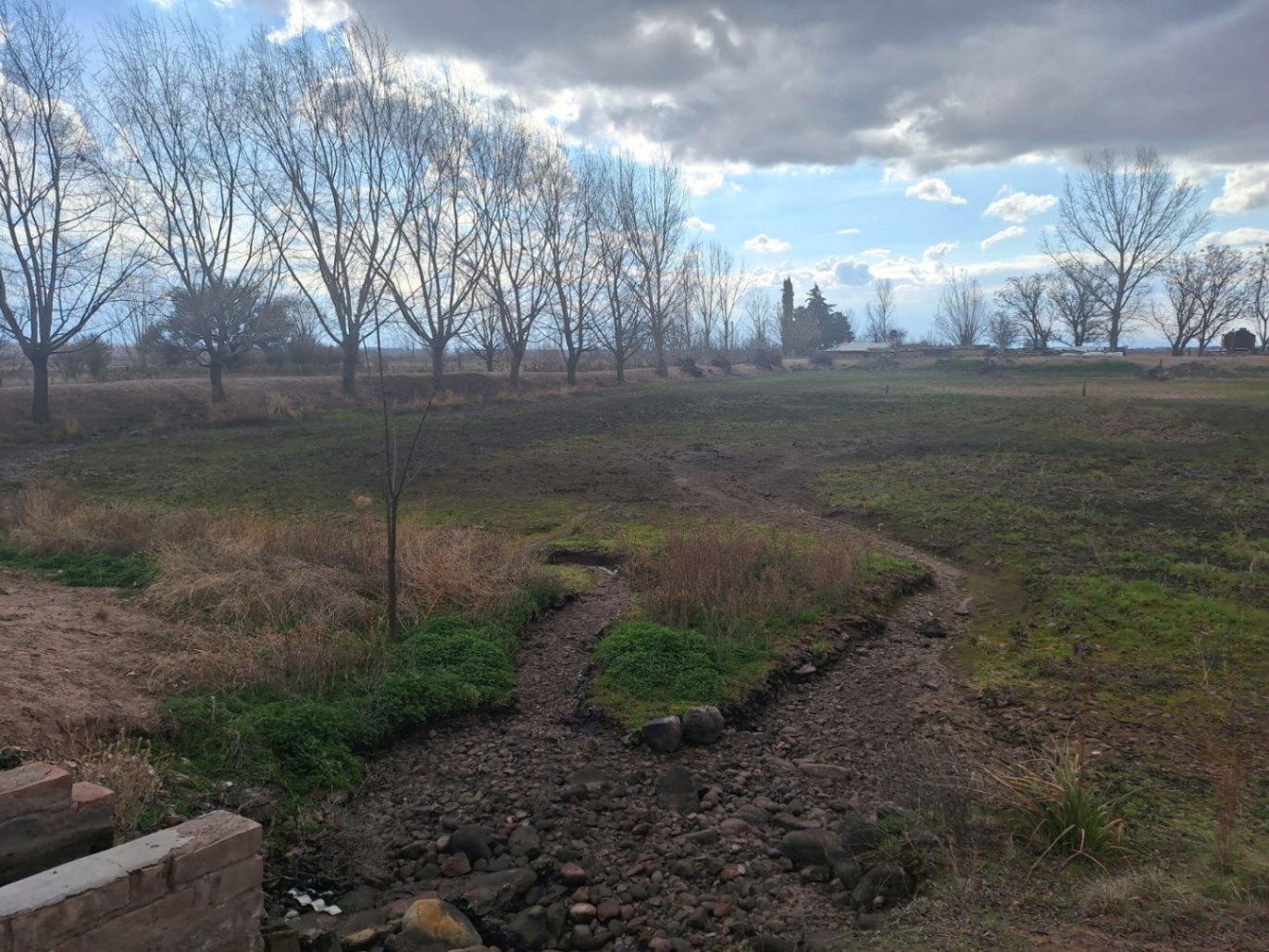 Finca en Venta en San Carlos, Mendoza
