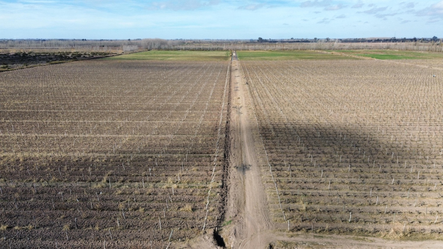 Finca en Venta en Lavalle, Mendoza