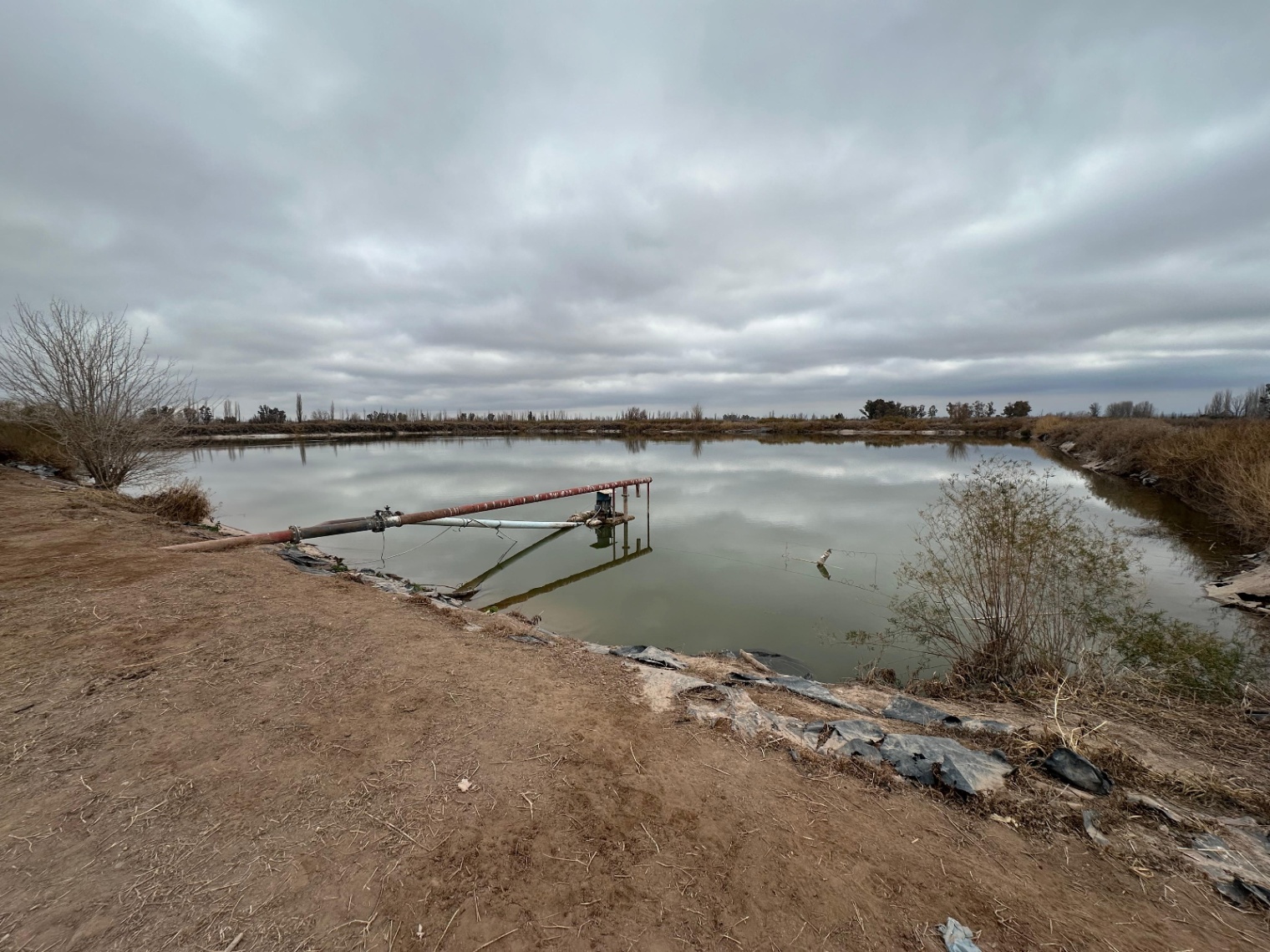 Finca en Venta en Lavalle, Mendoza