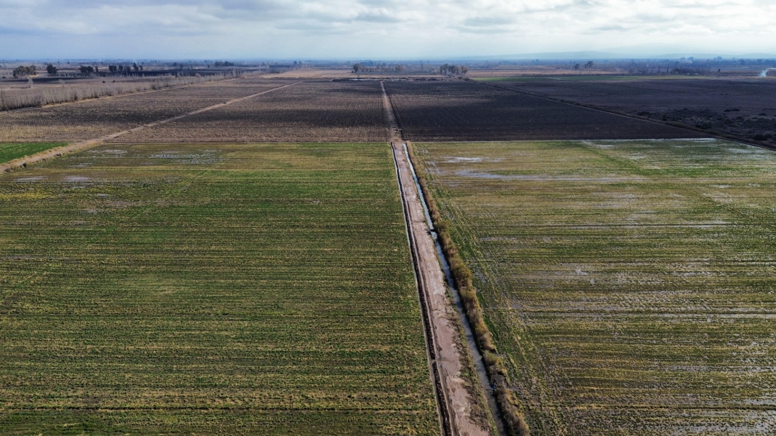 Finca en Venta en Lavalle, Mendoza