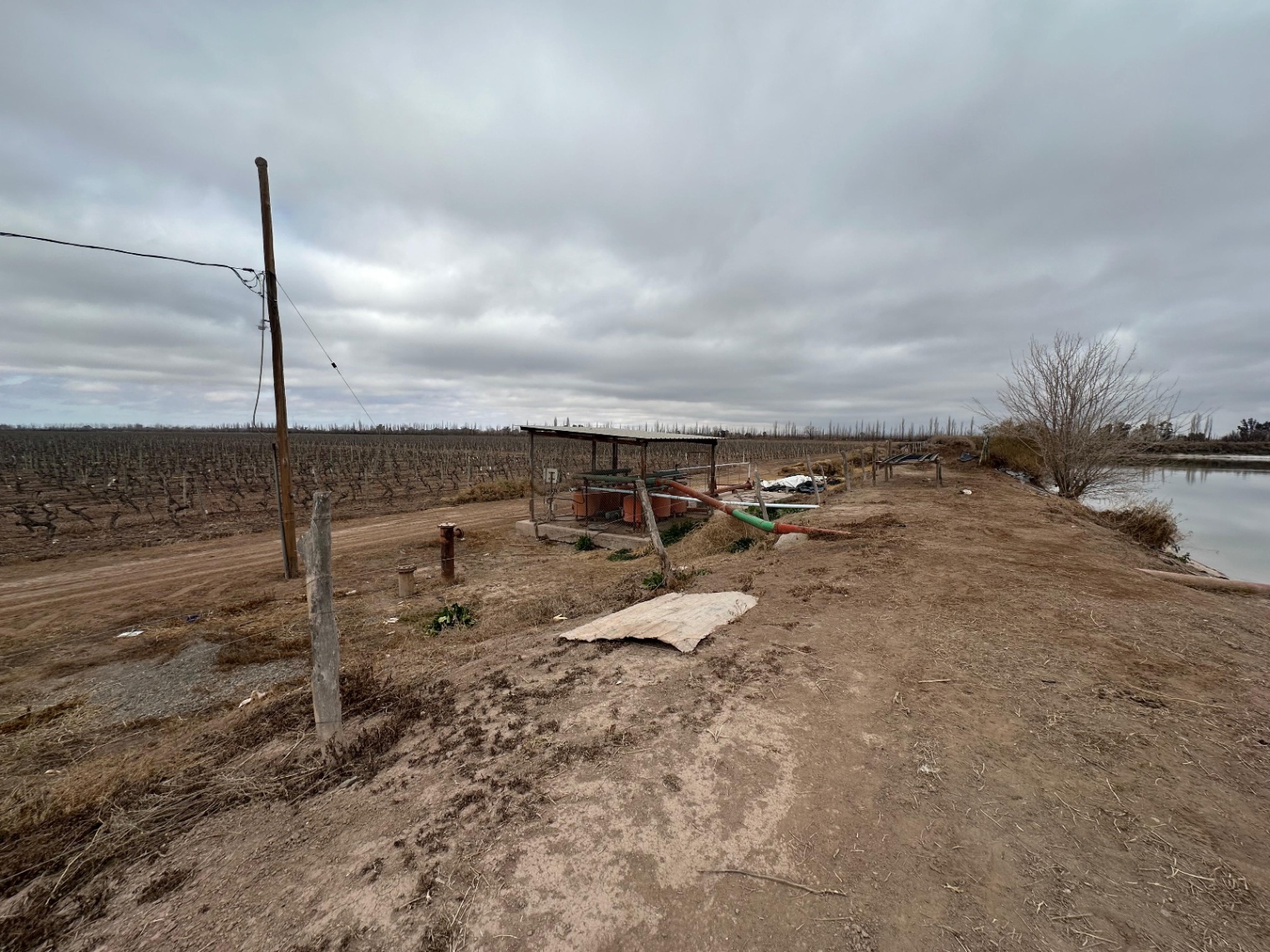 Finca en Venta en Lavalle, Mendoza