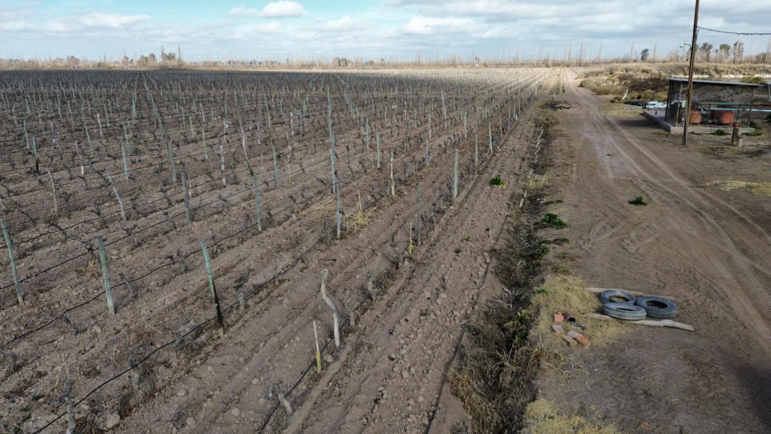 Finca en Venta en Lavalle, Mendoza