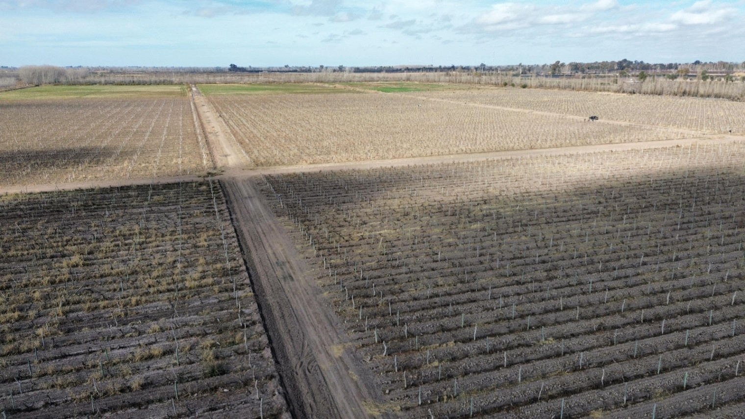 Finca en Venta en Lavalle, Mendoza